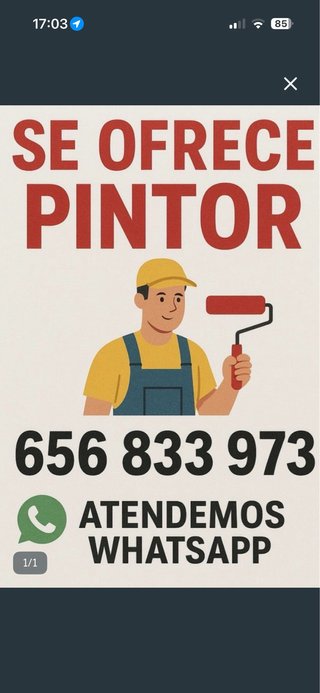 Servicios de Pintura MUY ECONÓMICO