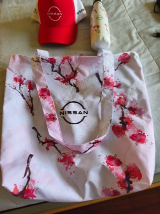 Set Merchandising Formula E Nissan