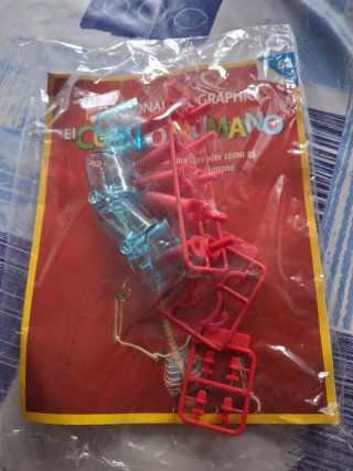 Coleccionable El Cuerpo Humano N° 68 N