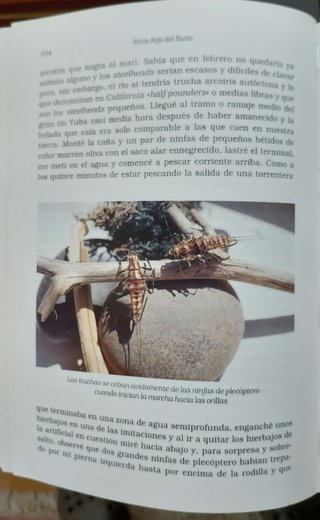 Técnicas de pesca de la trucha a ninfa