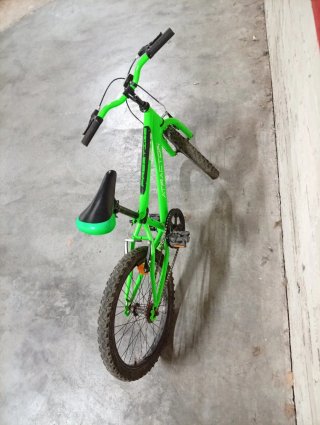 Bicicleta infantil 20 pulgadas Atractor verde