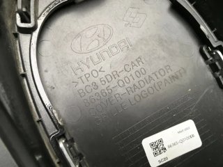 Rejilla Radiador Hyundai i20 III