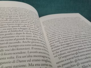 Il bosco degli urogalli - Mario Rigoni Stern