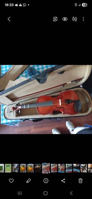 Violín Palatino de Estudio