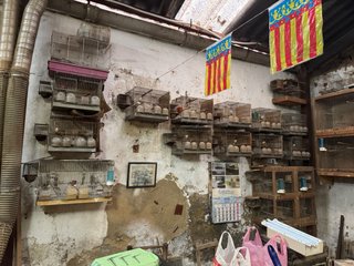 Lote jaulas para pájaros más de 18 jaulas.