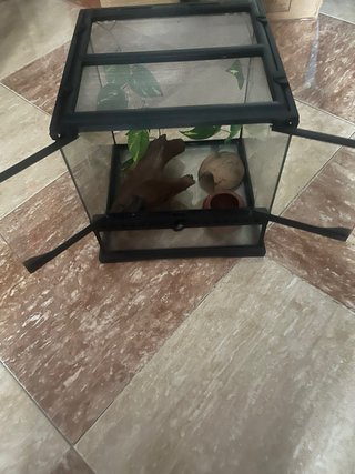 Terrario para Reptiles
