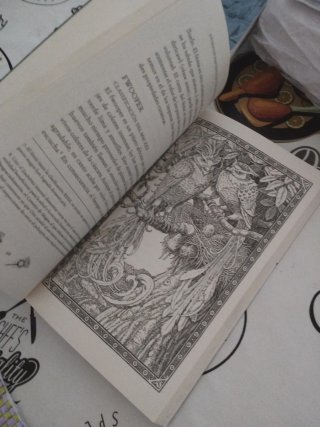 Animales fantásticos y dónde encontrarlos