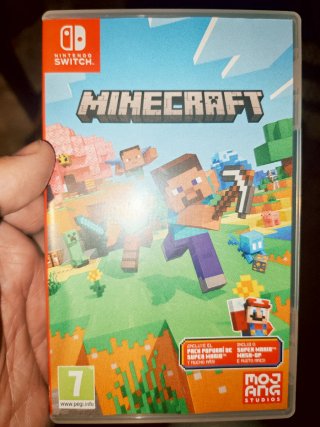 Minecraft Nintendo Switch