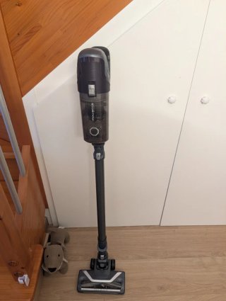 Aspiradora Rowenta X-Pert 6.60