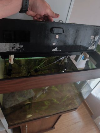 Acuario Juwel 130L