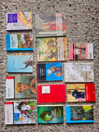 Libros lectura ESO/Colegio