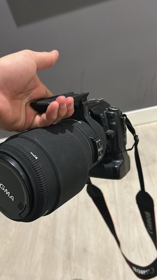 Nikon D90 + Sigma 120-400mm