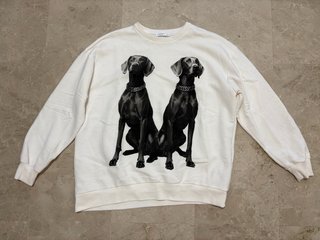 Sudadera Stradivarius con Estampado de Perros