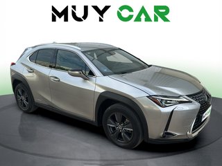 Lexus UX 250h Business 2WD 135 kW (184 CV)