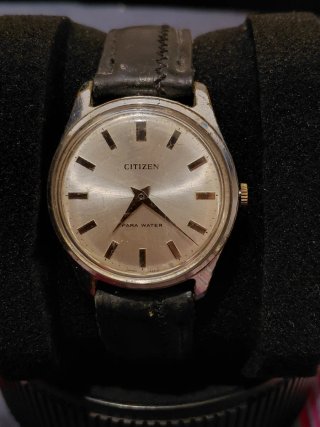 Reloj Citizen Para Water Plata