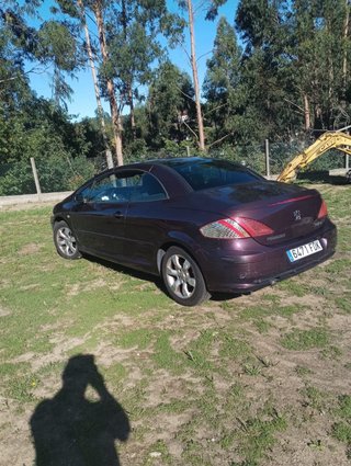 Peugeot 307 2006