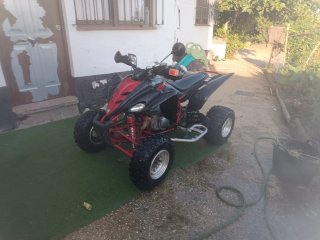 Yamaha Raptor 350 despiece