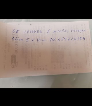 6 Mantas para Recogida de Aceituna 5x10m