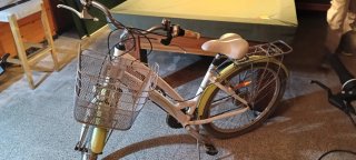 Bicicleta de Paseo