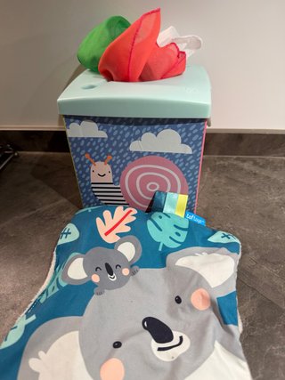 Caja Mágica Taf Toys