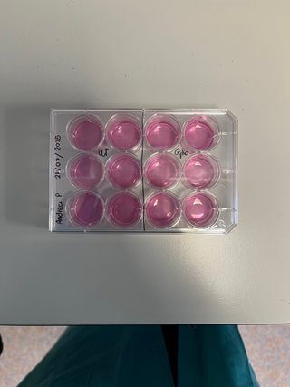 Profesora particular de Biología
