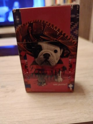 Caja Leo Jasmin Perro con Sombrero