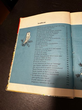 Libro Juvenil