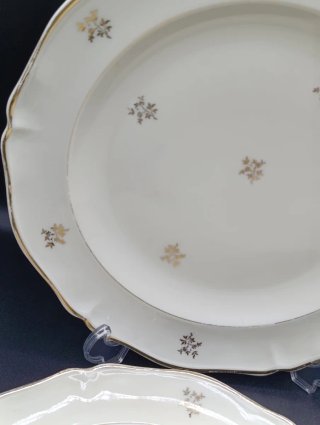 Set de platos Limoges crema y dorado
