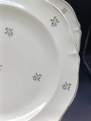 Set de platos Limoges crema y dorado