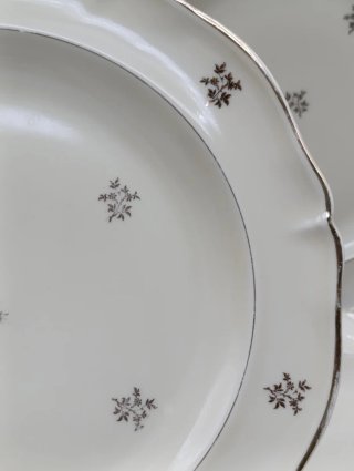Set de platos Limoges crema y dorado
