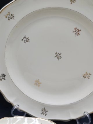 Set de platos Limoges crema y dorado