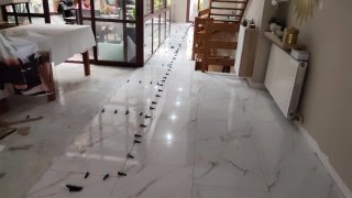 Servicios de reformas: alicatado, pladur y pintura