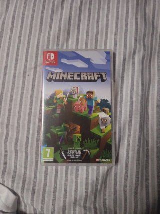 Minecraft Nintendo Switch