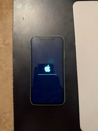 iPhone 11 Verde Menta