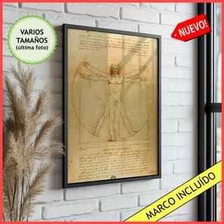 Cuadro El hombre de Vitruvio - Cuadro de Da Vinci
