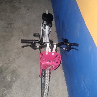 Bicicleta Mountain Bike 20 Toplife Blanca
