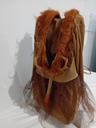 Disfraz de Leona para Niña Guirca