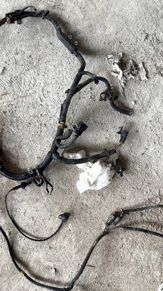 Cableado Motor Nissan Terrano 125cv