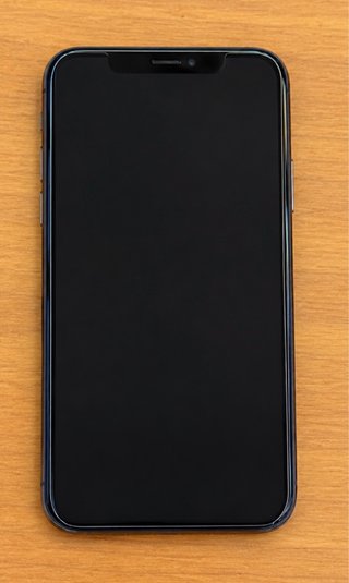 iPhone X 256GB