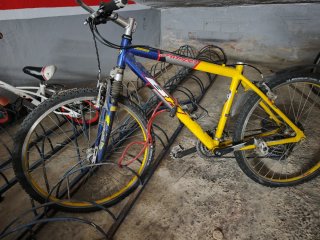 BH Jumper Amarillo y Azul.