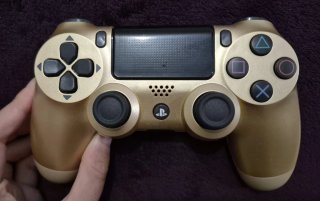 Mandos DualShock 4 - Edición estándar y especial.