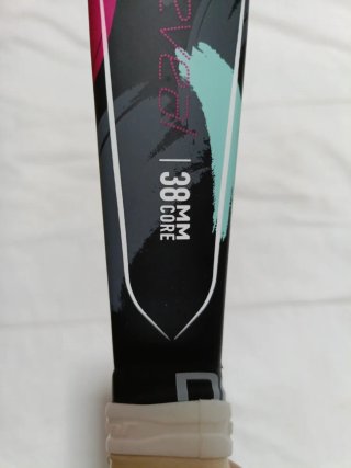 Pala de Pádel Babolat Reveal