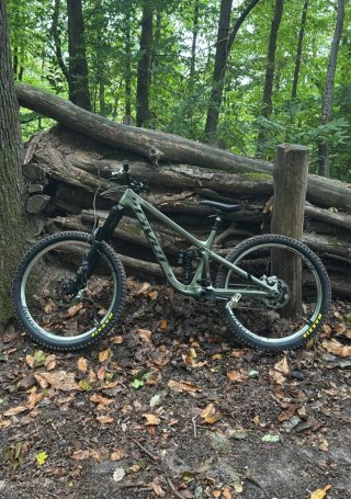 Pivot Firebird Carbon