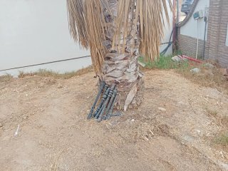 Cancela de Hierro Macizo y Fundido