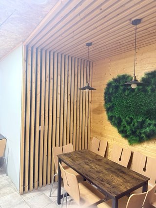 Conjunto de mesa y 6 sillas
