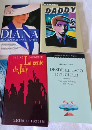 Lote de libros