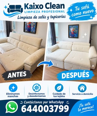 Servicio de limpieza higienización sofa tapiceria