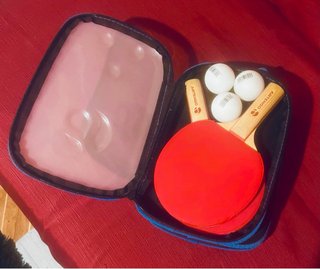 Set Ping-Pong Artengo Rollnet
