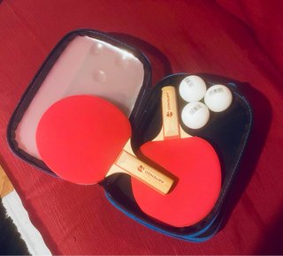 Set Ping-Pong Artengo Rollnet