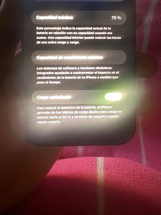 iPhone 13 256GB Negro